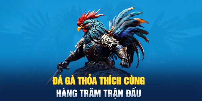 Một số kèo cược chọi gà hấp dẫn