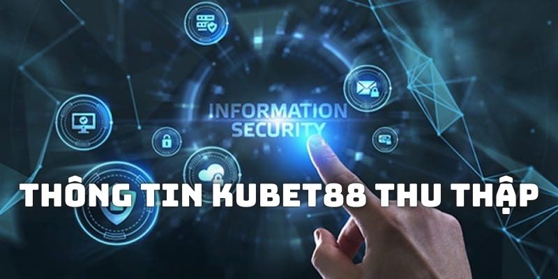 Những thông tin Kubet88 thu thập bạn nên biết